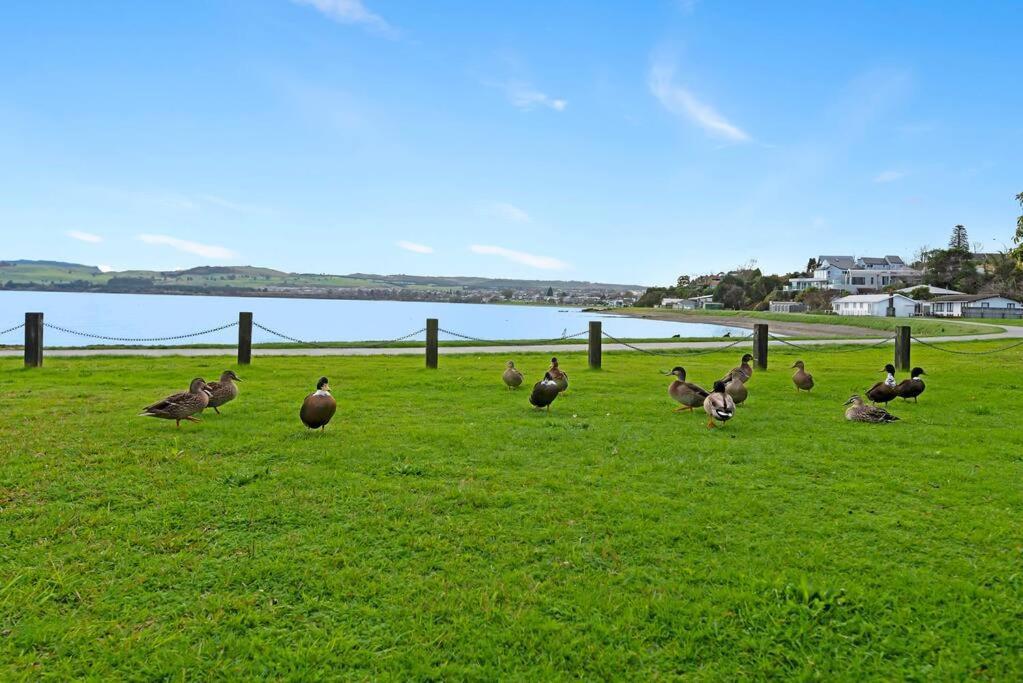 Waimahana - Luxury By The Lake Lac Lac Taupo Extérieur photo